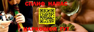 дмт Будённовск