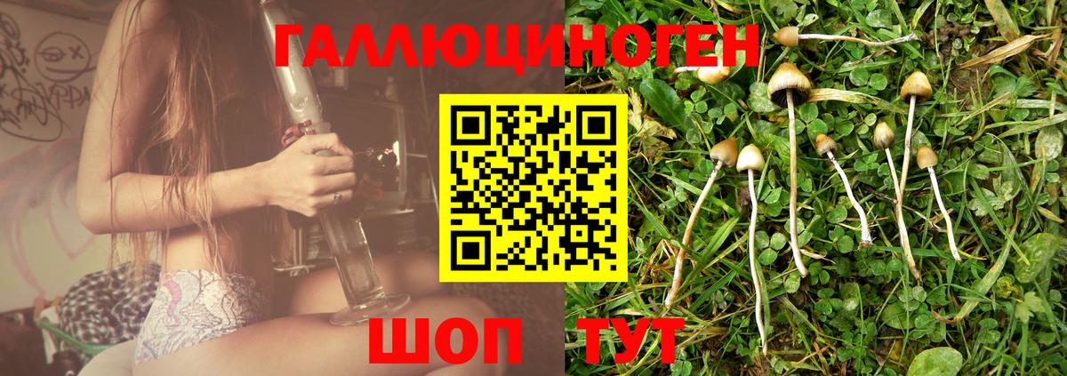 Псилоцибиновые грибы MAGIC MUSHROOMS Минусинск
