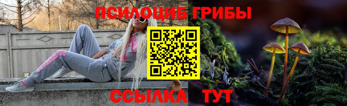 Галлюциногенные грибы Psilocybine cubensis  Псилоцибиновые грибы мухоморы  купить   Минусинск  Вход с VPN 